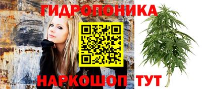 не бодяженный Беслан