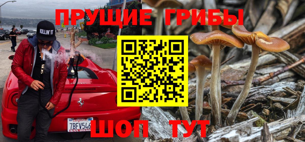 Зеленодольск  Галлюциногенные грибы MAGIC MUSHROOMS  Вход с VPN  Галлюциногенные грибы Cubensis 